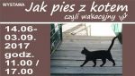 Jak pies z kotem czyli wakacyjny luz